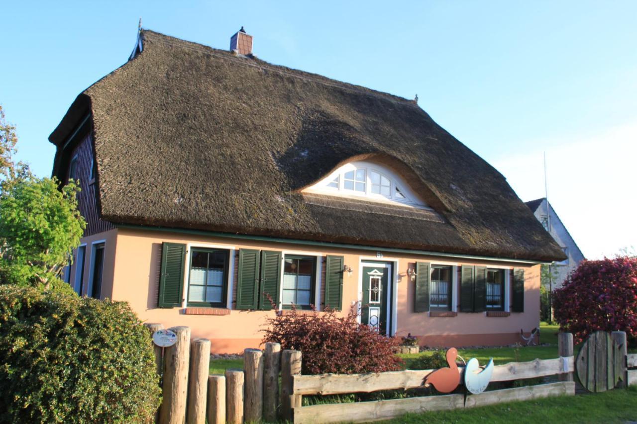 Apartment Haus 