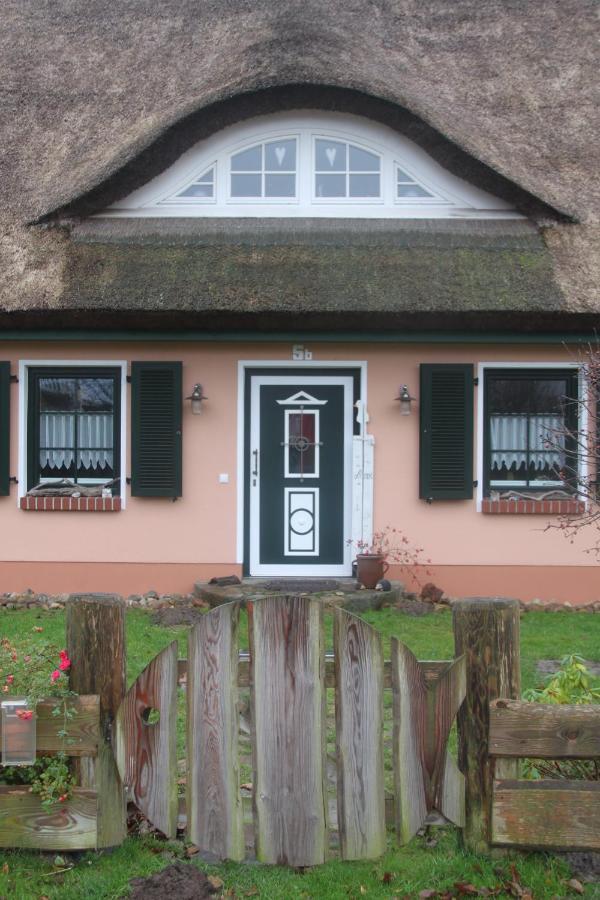 Haus 
